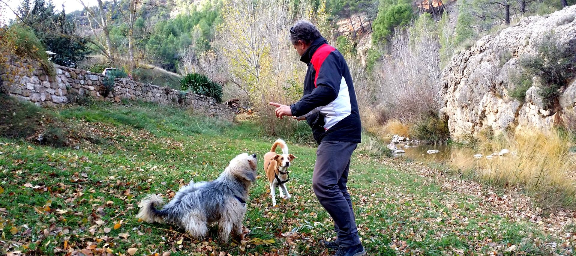 Perro con adiestrador en Viajar Solo