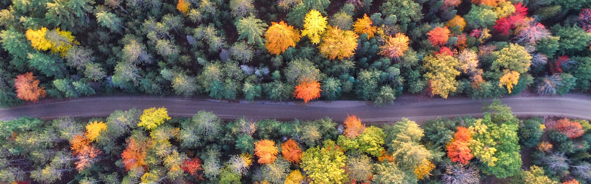 viajar en otoño