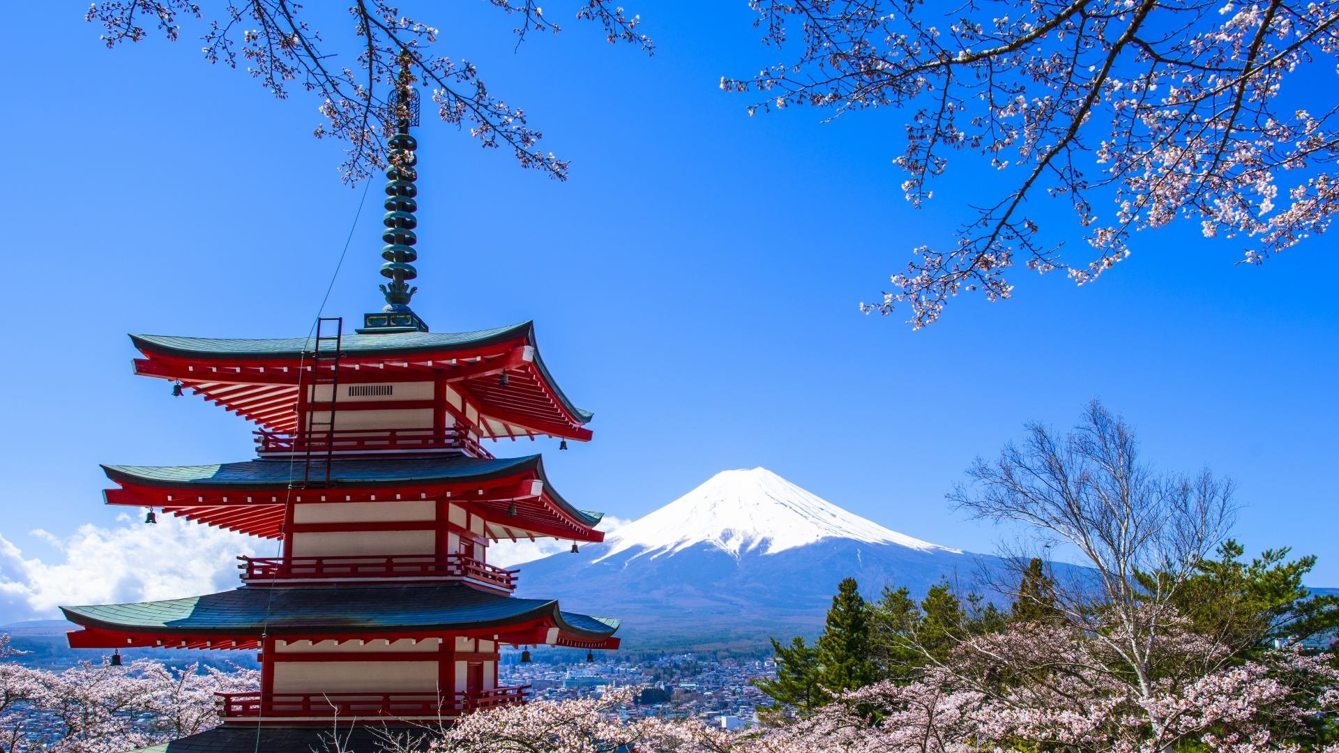 Japon Esencial - Viaja en Grupo Organizado | ViajarSolo