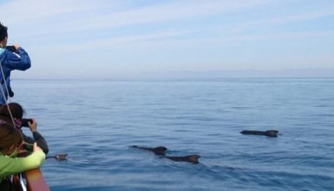 Costa Cálida Single