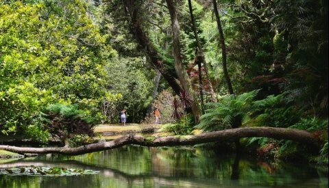 Aventura en las Azores