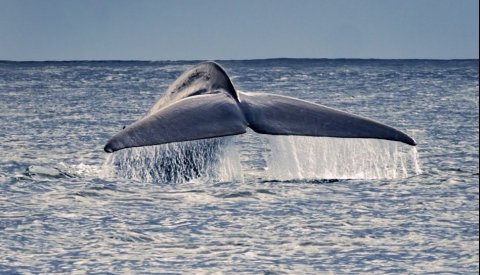 Aventura en las Azores