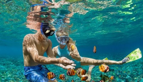 MALDIVAS & SNORKEL