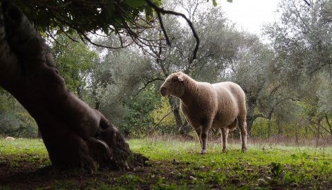 Senderismo en Huelva