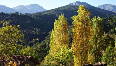 Vacaciones Mágicas en Gredos
