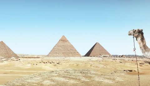 Egipto Single