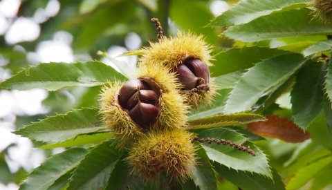 Senderismo en Huelva