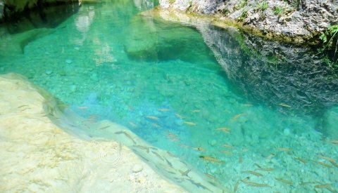 Multiaventura Monoparental en Els Ports