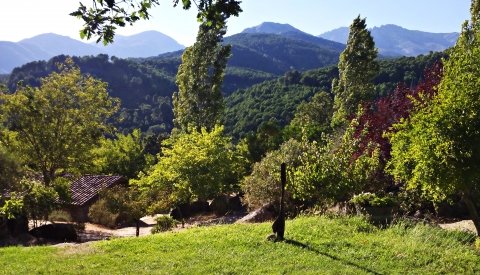 Vacaciones Mágicas en Gredos
