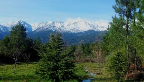 Vacaciones Mágicas en Gredos