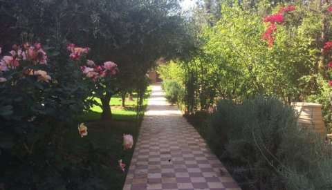 Despertar en Marrakech