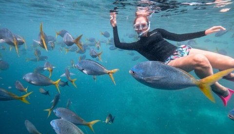 MALDIVAS & SNORKEL