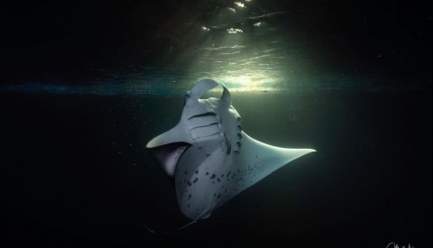 Maldivas Entre Atolones