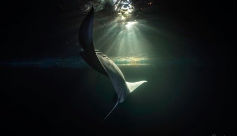 Maldivas Entre Atolones