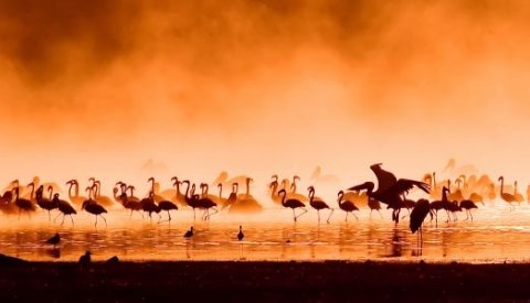 Kenya, Tanzania y Zanzibar