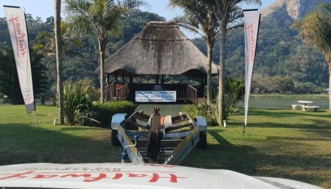 Sardine Run Sudafrica