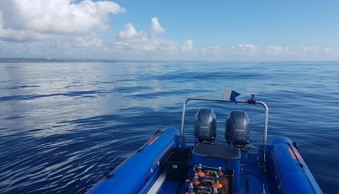 Sardine Run Sudafrica