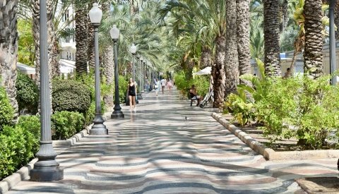 Nochevieja single en Alicante