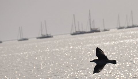 Aventura en Andalucía