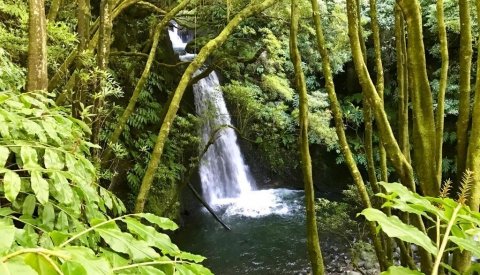 Aventura en las Azores