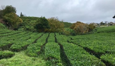 Aventura en las Azores