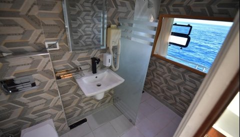 Nadar con delfines en libertad