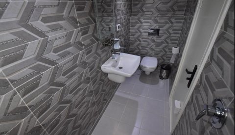 Nadar con delfines en libertad