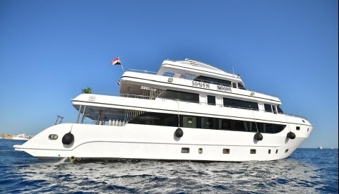 Nadar con delfines en libertad