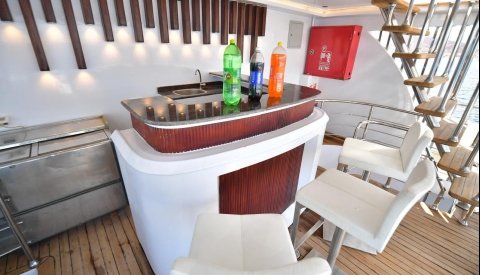 Nadar con delfines en libertad