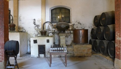 Andalucía al completo