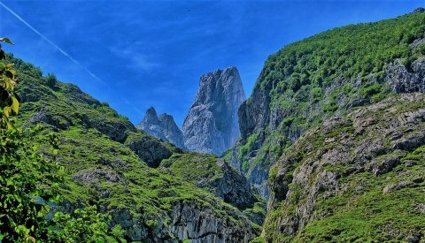 Senderismo en Picos de Europa