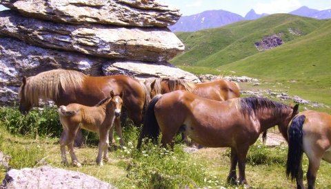 Senderismo en los valles occidentales