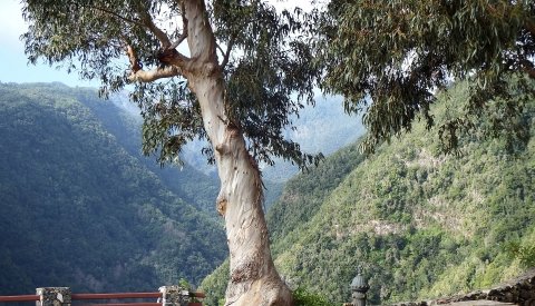 Expedición a La Palma