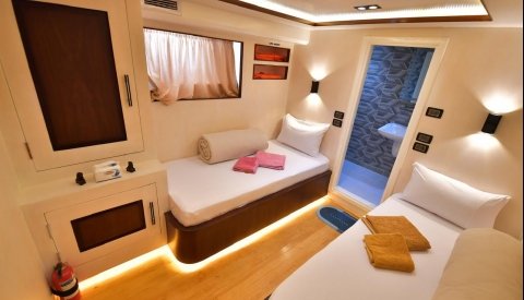 Nadar con delfines en libertad