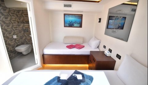 Nadar con delfines en libertad