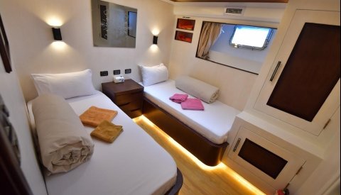 Nadar con delfines en libertad