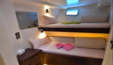 Nadar con delfines en libertad