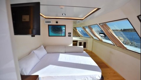 Nadar con delfines en libertad