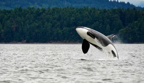 Viaja al este de Canadá