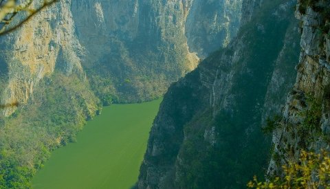 Día de Muertos en Oaxaca