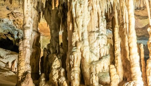 Multiaventura Monoparental en Els Ports