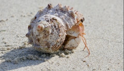 Maldivas Entre Atolones