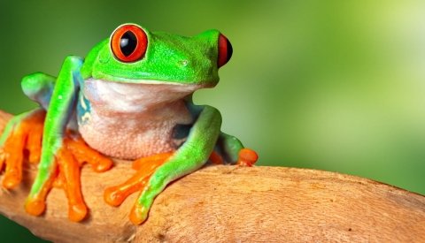 Costa Rica Especial Semana Santa