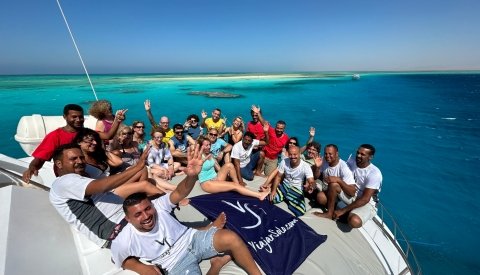 Nadar con delfines en libertad