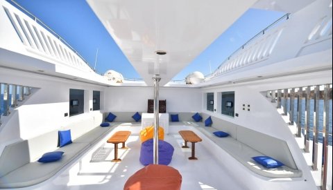 Nadar con delfines en libertad