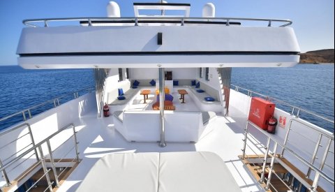 Nadar con delfines en libertad