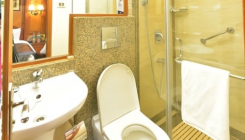 En tren de lujo por India