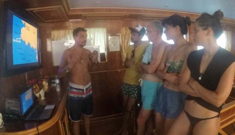 Nadar con delfines en libertad