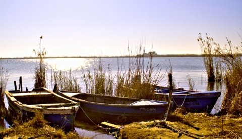 Conexión Natural. Ecoturismo