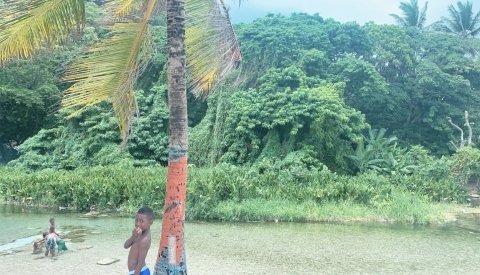 Dominicana en esencia